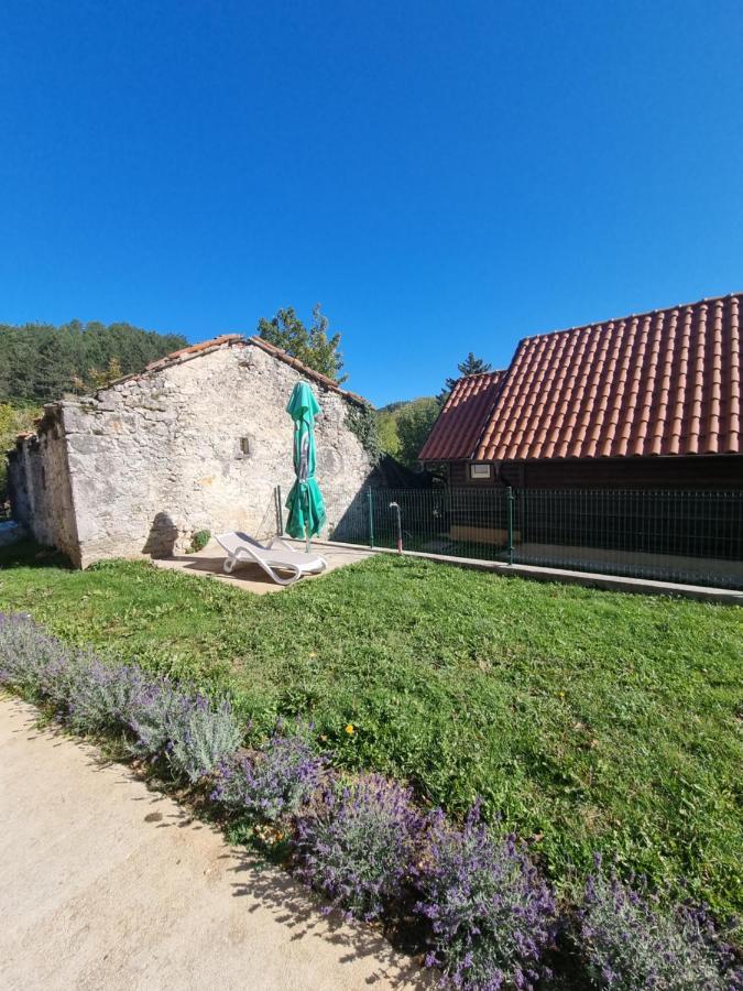 מלון Golac Dobra Hisa Zdravja Cicarija מראה חיצוני תמונה